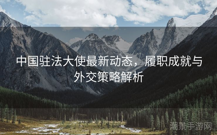 中国驻法大使最新动态，履职成就与外交策略解析