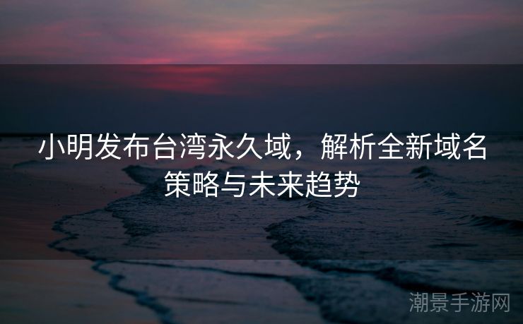 小明发布台湾永久域，解析全新域名策略与未来趋势