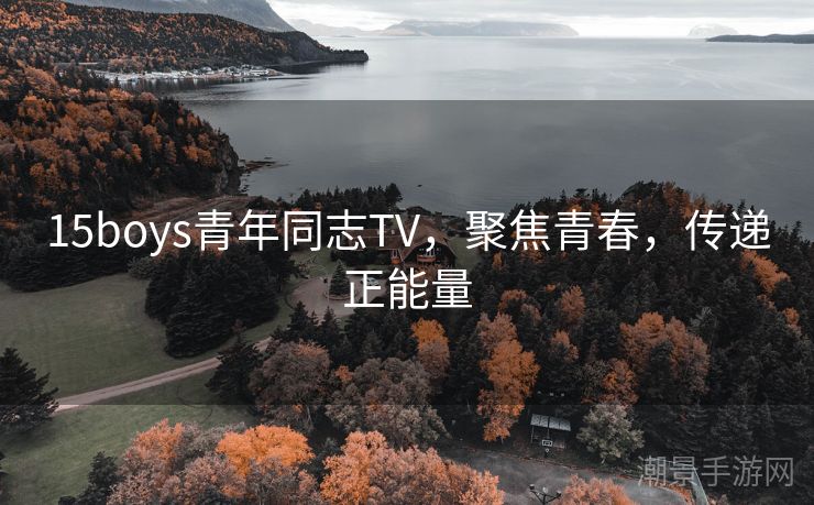 15boys青年同志TV，聚焦青春，传递正能量