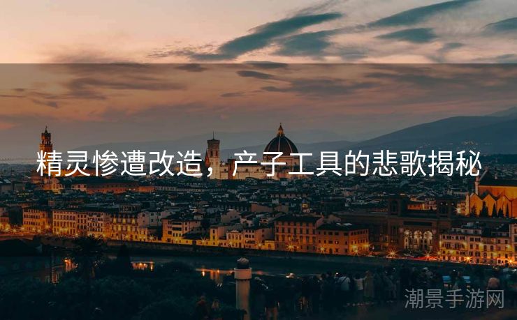 精灵惨遭改造，产子工具的悲歌揭秘