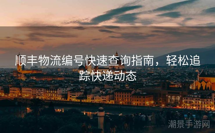 顺丰物流编号快速查询指南，轻松追踪快递动态