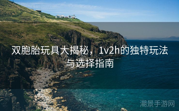 双胞胎玩具大揭秘，1v2h的独特玩法与选择指南