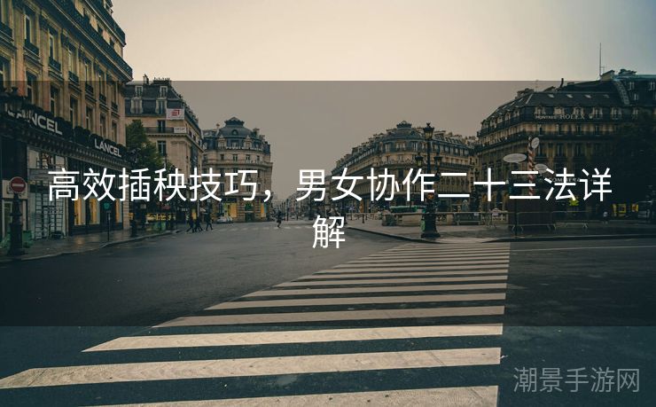 高效插秧技巧，男女协作二十三法详解