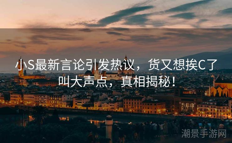 小S最新言论引发热议，货又想挨C了叫大声点，真相揭秘！