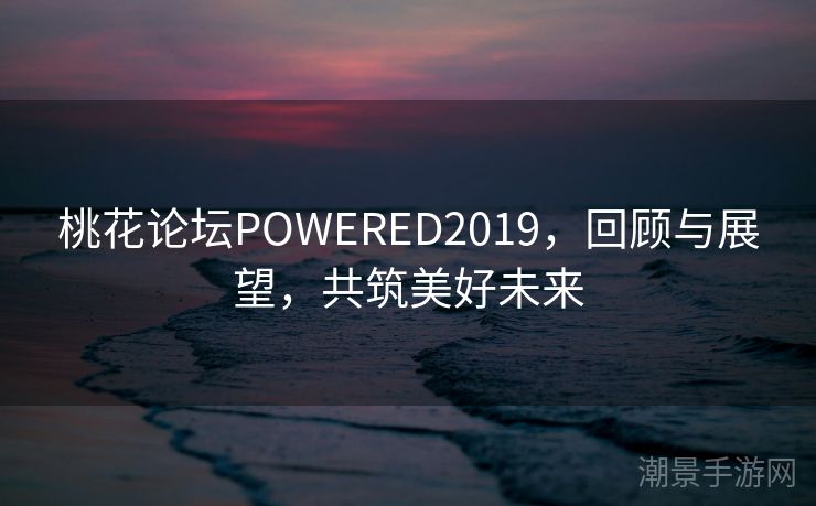 桃花论坛POWERED2019，回顾与展望，共筑美好未来