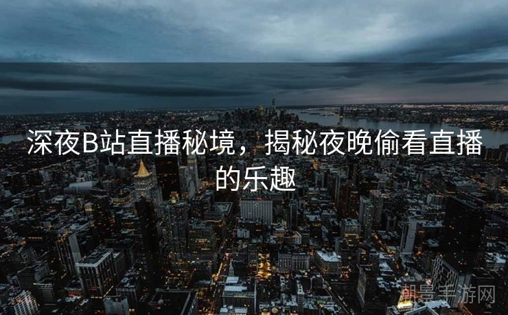 深夜B站直播秘境，揭秘夜晚偷看直播的乐趣