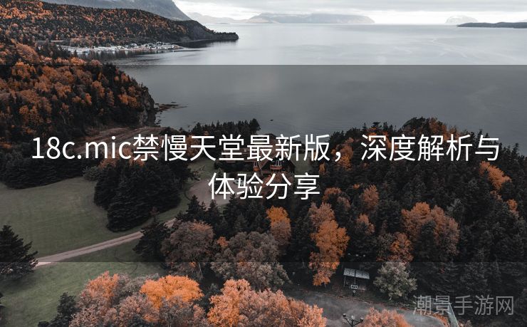 18c.mic禁慢天堂最新版，深度解析与体验分享