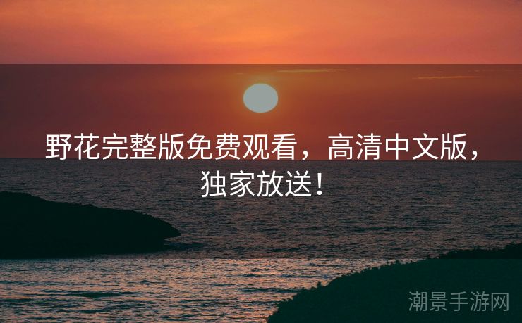 野花完整版免费观看，高清中文版，独家放送！