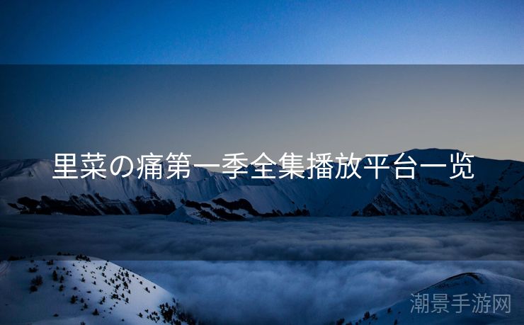 里菜の痛第一季全集播放平台一览
